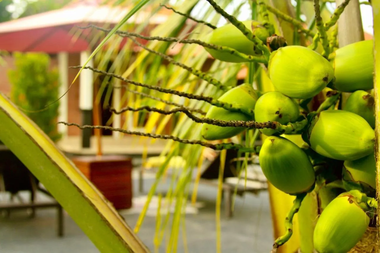 Dhiari Guest House Ubud 0*,